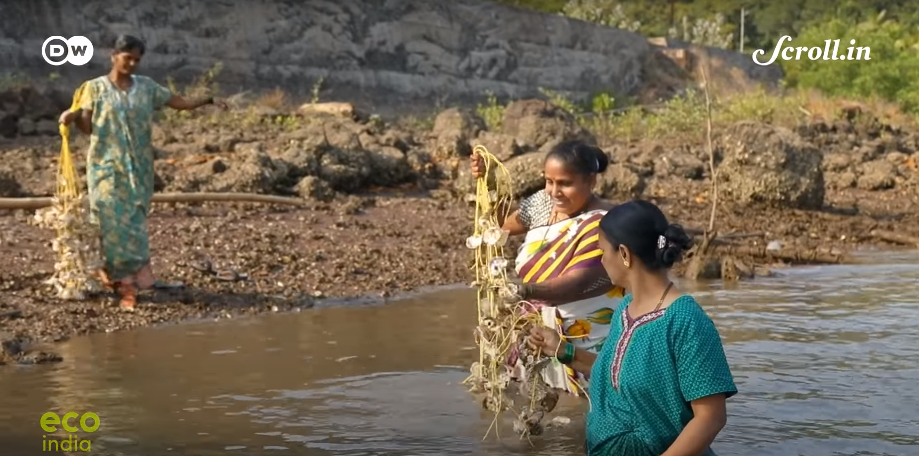 How a simple innovation in oyster farming has transformed the lives of these fisherwomen