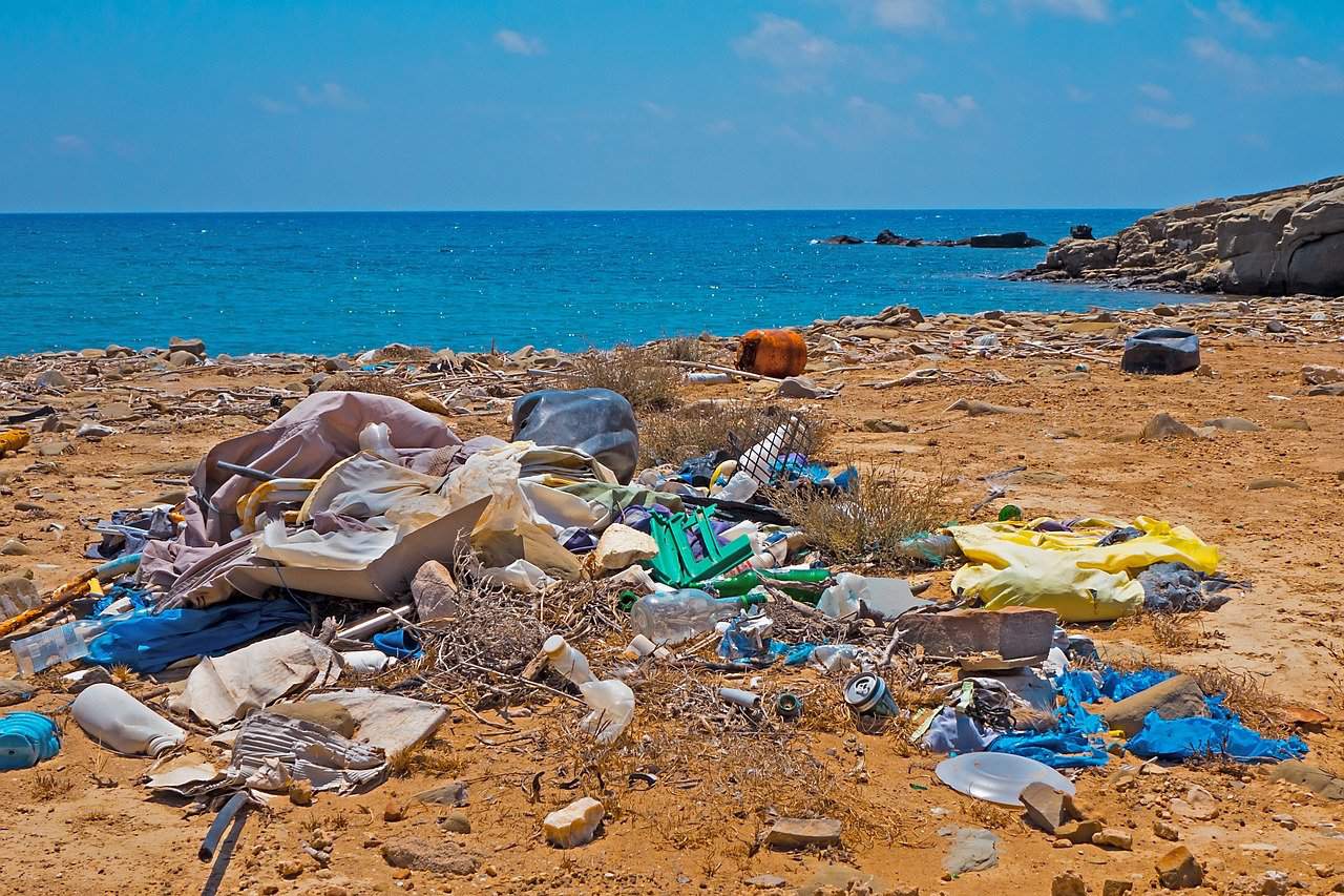 How Marine Litter is Bringing Unwanted Guests to India’s Shores