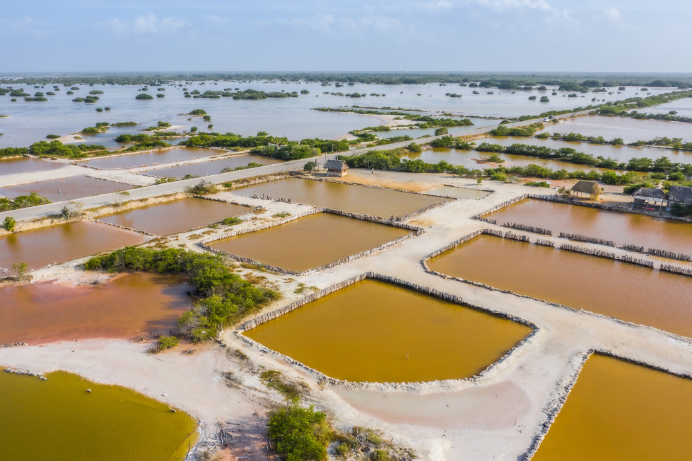 Sustainable Aquaculture: A New Hope for Thoothukudi Fishermen