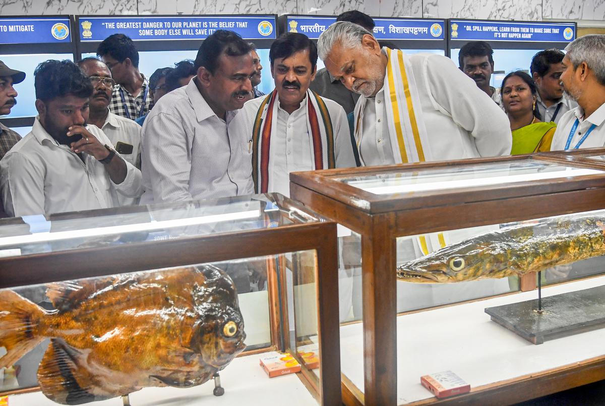 The Modernized Marine Museum at the Fish Survey of India in Visakhapatnam: Unveiling the Wonders of the Deep