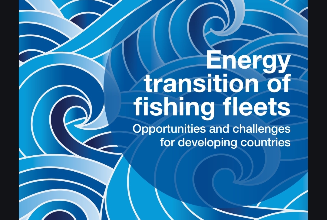 A Net Cast for a Sustainable Future: Report Explores Energy Transition Challenges and Opportunities for Developing Countries’ Fishing Fleets