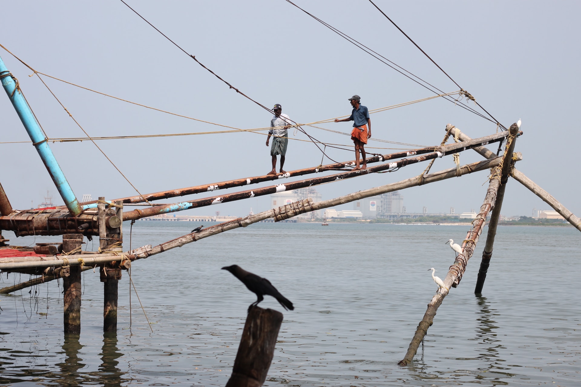 Beyond Catch: Reimagining India’s Fisheries for Sustainable Growth