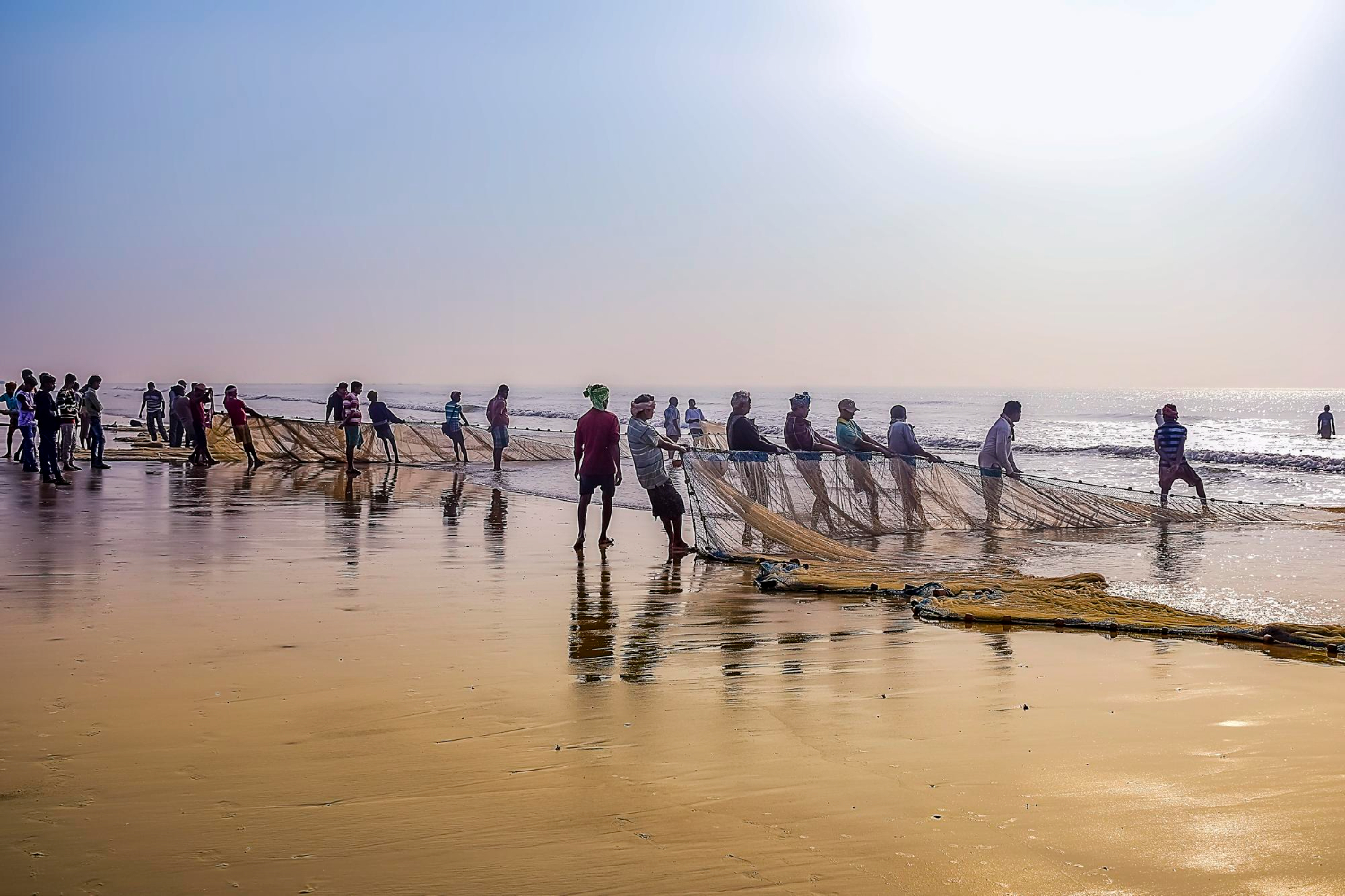 India Embarks on Transformative Marine Fisheries Census: A Blueprint for Sustainable Aquaculture