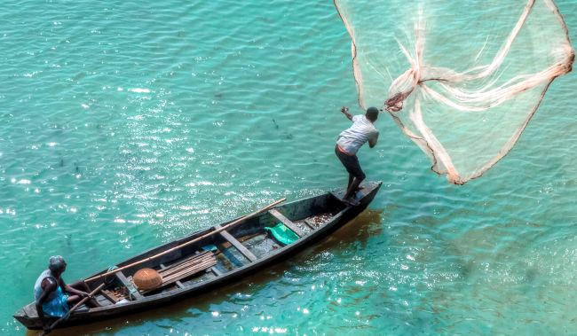 Andhra Pradesh Leads the Way in Fishing and Aquaculture: A Deep Dive into India’s Aqua Sector