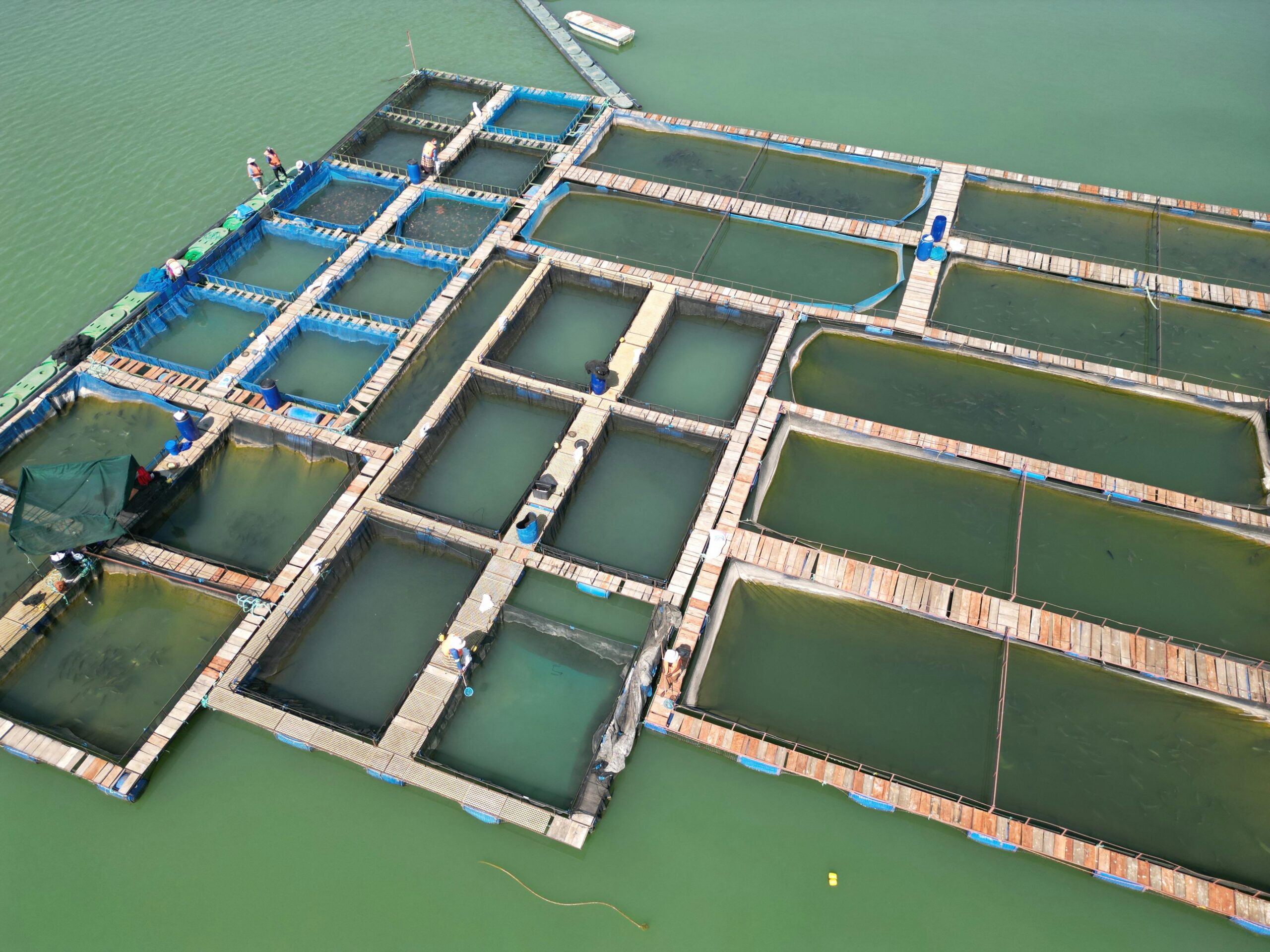 India’s Aquaculture Sector: A Boon for Employment and Foreign Exchange Earnings