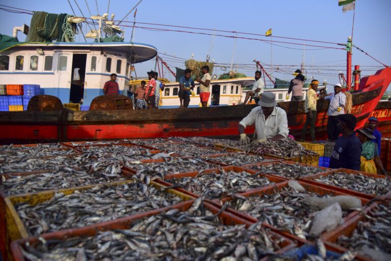 Navigating Global Waters: What the WTO Fisheries Subsidies Agreement Means for India’s Marine Industry