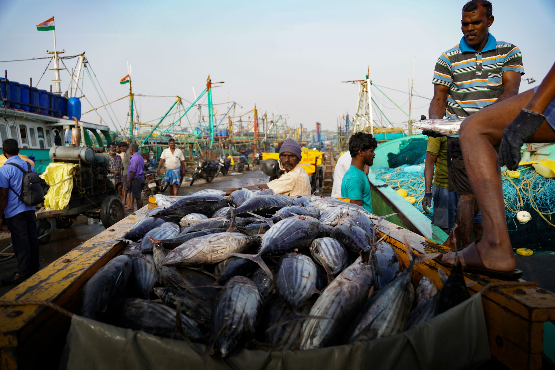 Blue Economy Push: India Targets 30 MT Fish Output and ₹1.25 Lakh Crore Seafood Exports Under New Inland Roadmap